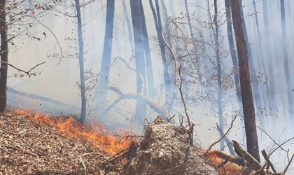 Waldbrand Urach Kunstm&uuml;hlefels | Bildquelle: Feuerwehr Bad Urach