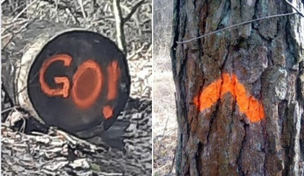 Geheime russische Militärzeichen 3