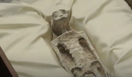 Humanoide Mumie - Hearing Mexikanischer Kongress 2