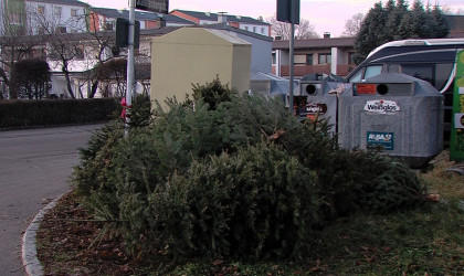 Weihnachtsbäume entsorgen | Bildquelle: RTF.1