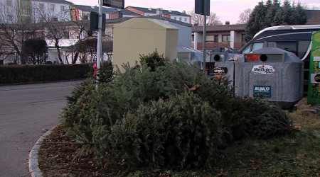Weihnachtsb&auml;ume entsorgen | Bildquelle: RTF.1