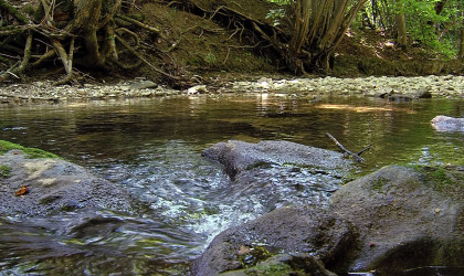 Niedrigwasser am Arbach | Bildquelle: RTF.1