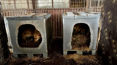 Palettenboxen | Bildquelle: RTF.1