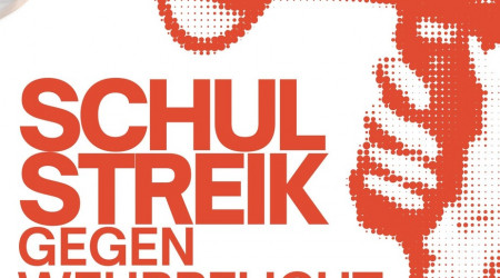 Schulstreik Plakat | Bildquelle: RTF.1