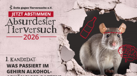 Flyer Absurdester Tierversuch 2026 | Bildquelle: &Auml;rzte gegen Tierversuche
