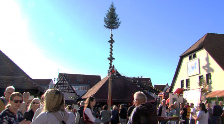 Maibaum Metzingen | Bildquelle: RTF.1