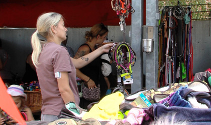 Riesenflohmarkt im Tierheim Reutlingen | Bildquelle: RTF.1
