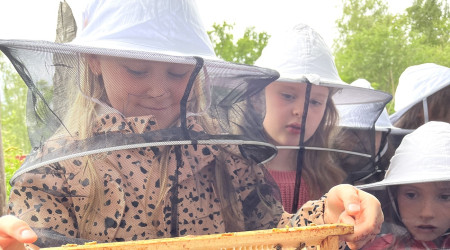 Kind und Bienenwaben | Bildquelle: Mellifera e. V.