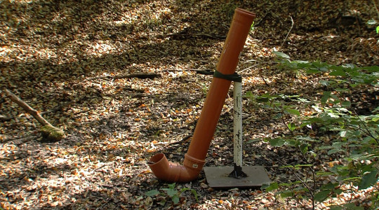 Wildtr&auml;nke im Wald | Bildquelle: RTF.1