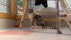 Jungkatze im Tierheim Reutlingen | Bildquelle: RTF.1