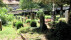 Friedhof in Tübingen | Bildquelle: RTF.1