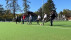 Kunstrasen Sportplatz Kies | Bildquelle: Instagram/Carmen Haberstroh