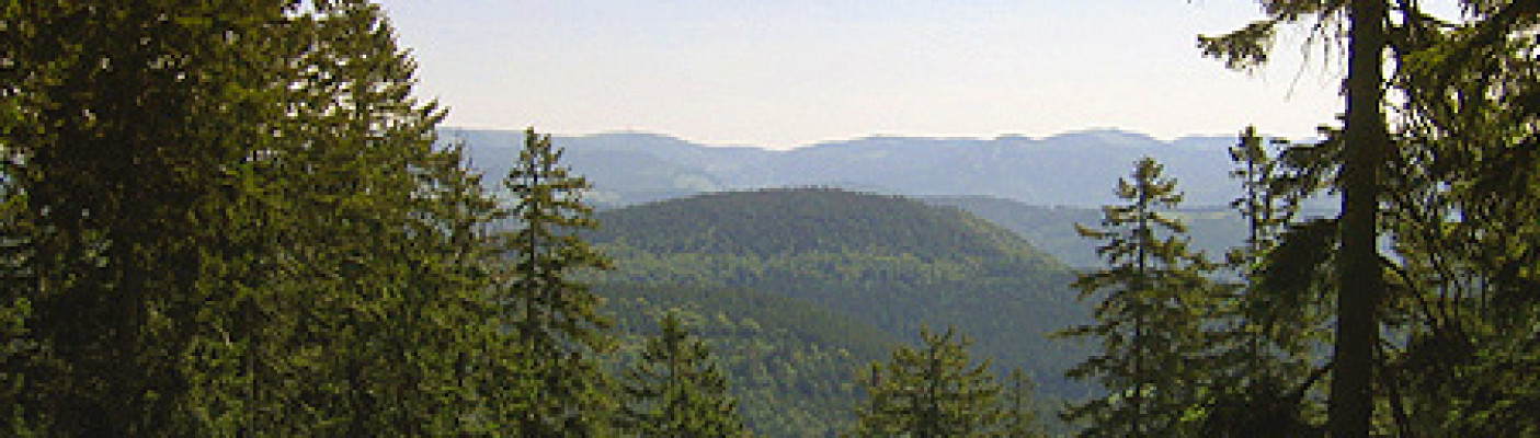 Schwarzwald | Bildquelle: pixelio.de - Gerd Altmann
