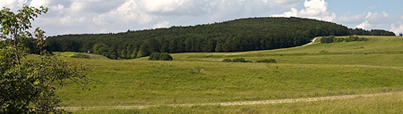 Ehemaliger Truppenübungsplatz Münsingen | Bildquelle: pixelio.de - Albrecht E. Arnold