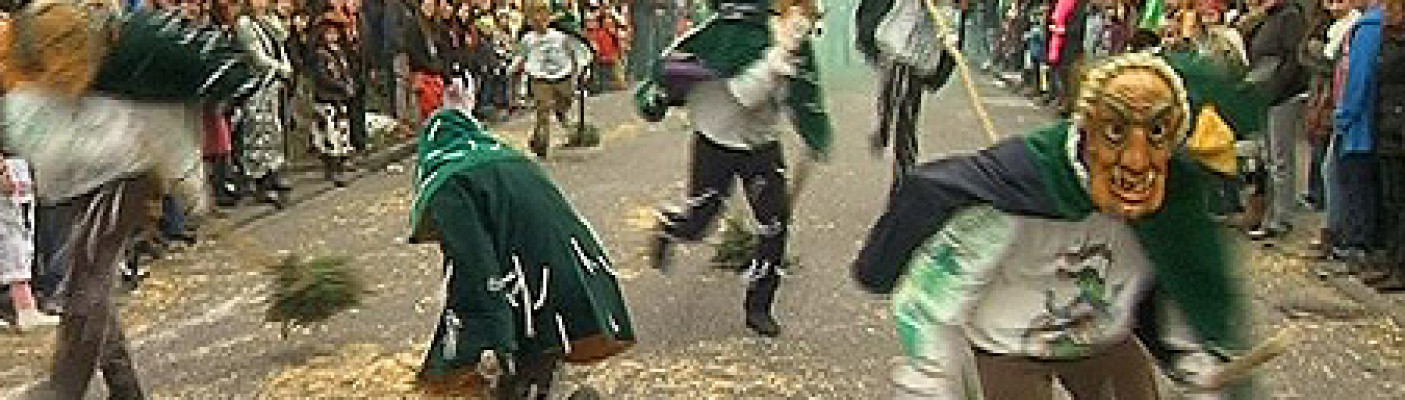 Fasnet: Narrenumzug T&uuml;bingen-Hirschau | Bildquelle: RTF.1