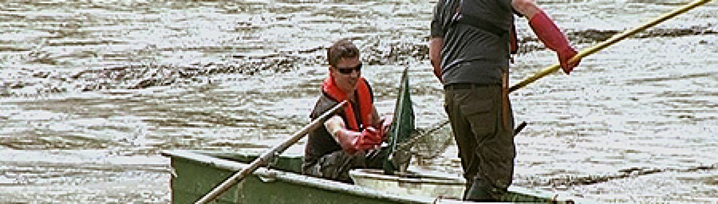 Abfischen des Stausees Glems | Bildquelle: RTF.1