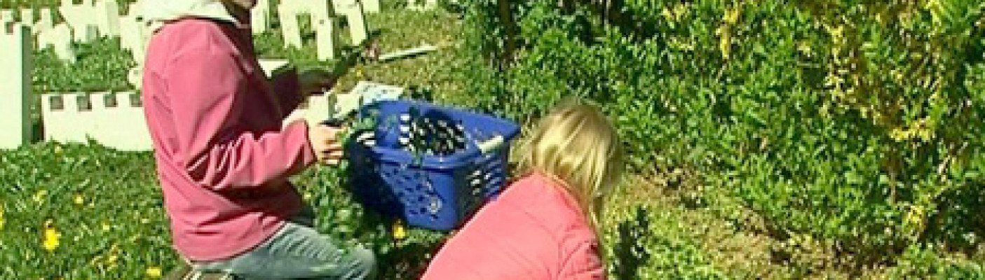 Osterg&auml;rten | Bildquelle: RTF.1