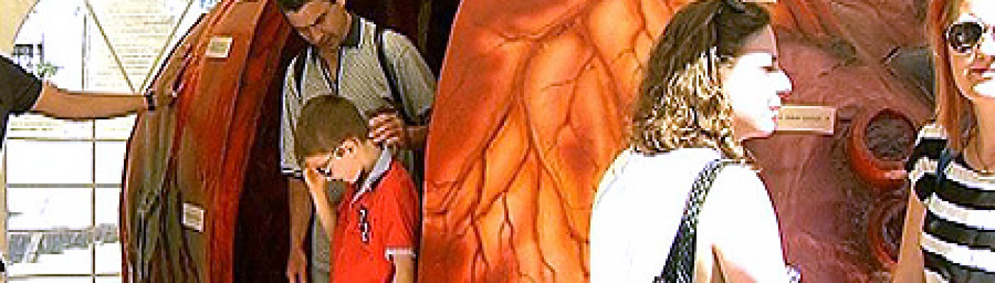 Informationen zur Organspende | Bildquelle: RTF.1