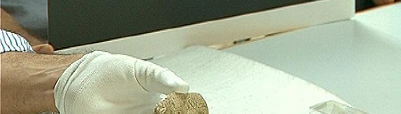 Löwenfigur in Tübingen hat einen Kopf | Bildquelle: RTF.1