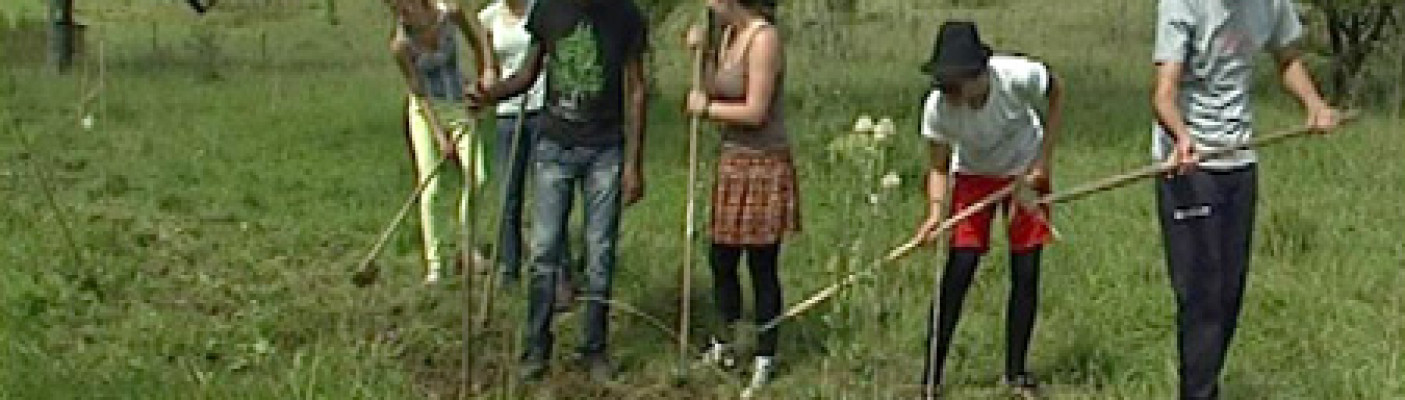 Internationale Jugendfreizeit | Bildquelle: RTF.1