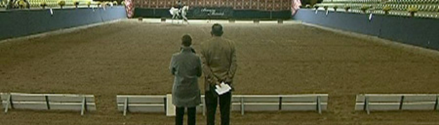 Dressurpr&uuml;fung in Marbach | Bildquelle: RTF.1