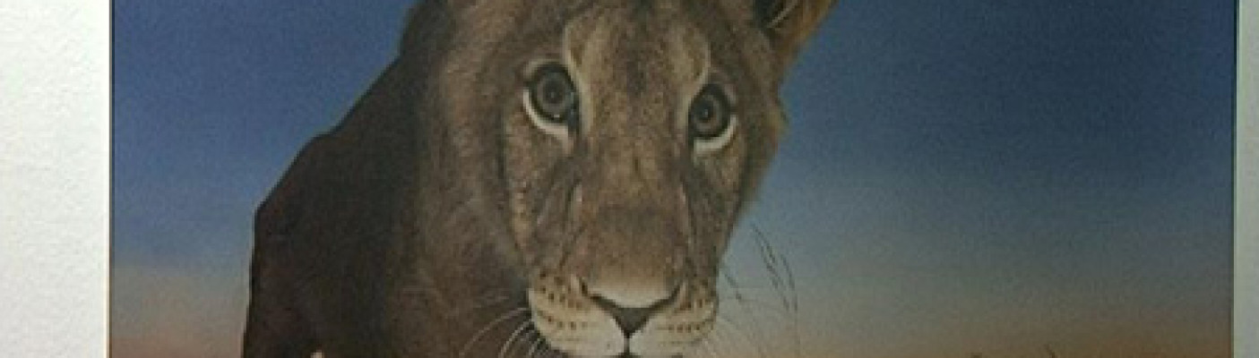 Ausstellung "Wildlife Photographer of the Year" | Bildquelle: RTF.1