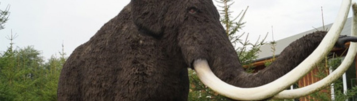 Mammut | Bildquelle: pixabay.com