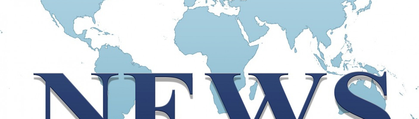 St&ouml;r in der Donau | Bildquelle: WWF Deutschland