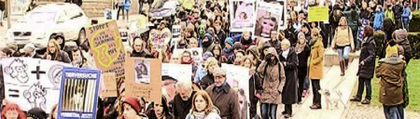 Demo gegen Tierversuche | Bildquelle: RTF.1