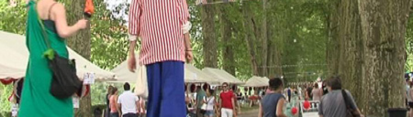 Fest auf der Neckarinsel | Bildquelle: RTF.1