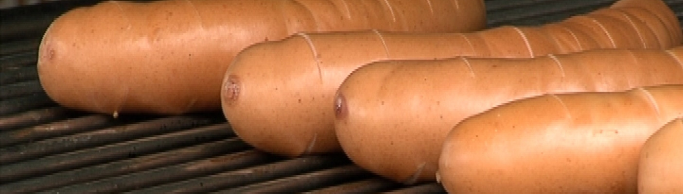 Rote W&uuml;rste auf dem Grill | Bildquelle: RTF.1