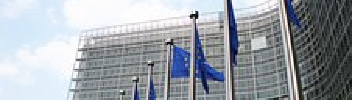 Brüssel EU-Kommission 1 | Bildquelle: Pixabay