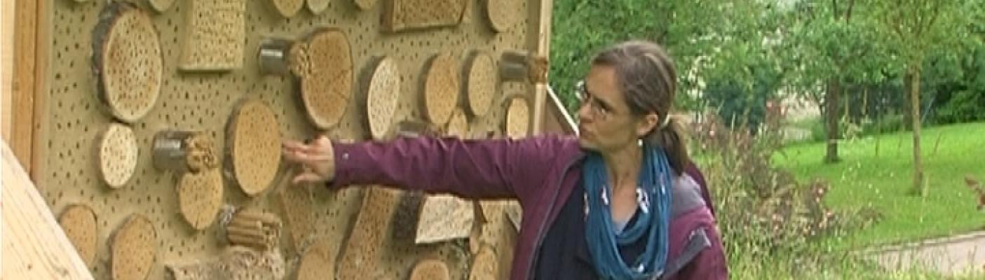 Insektenhotel | Bildquelle: RTF.1