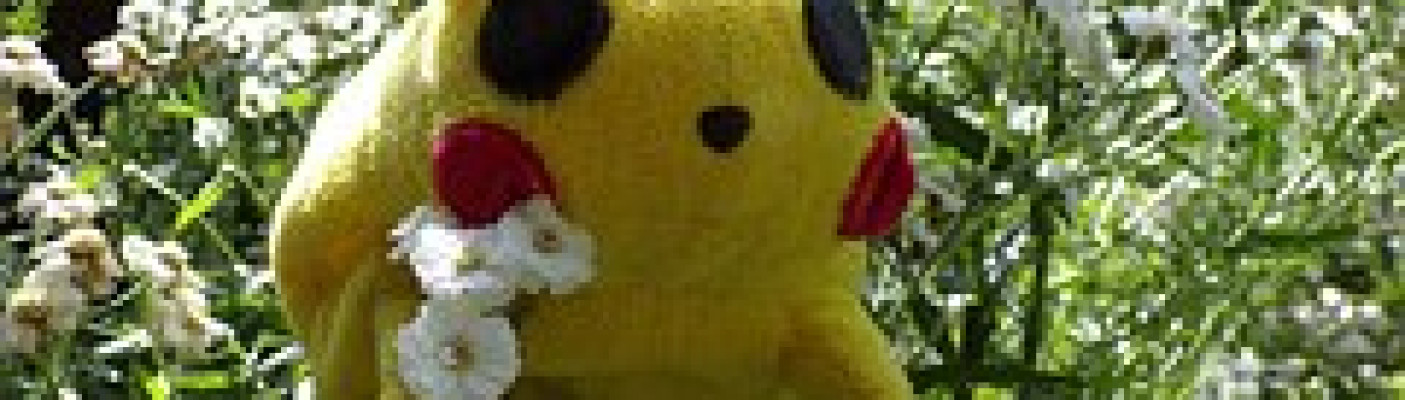 Pokemon-Stofftier gelb vor gr&uuml;nem Busch | Bildquelle: Pixabay