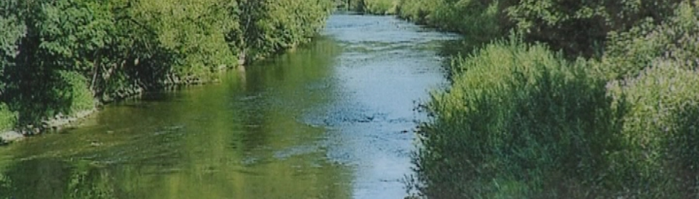 Neckar | Bildquelle: RTF.1
