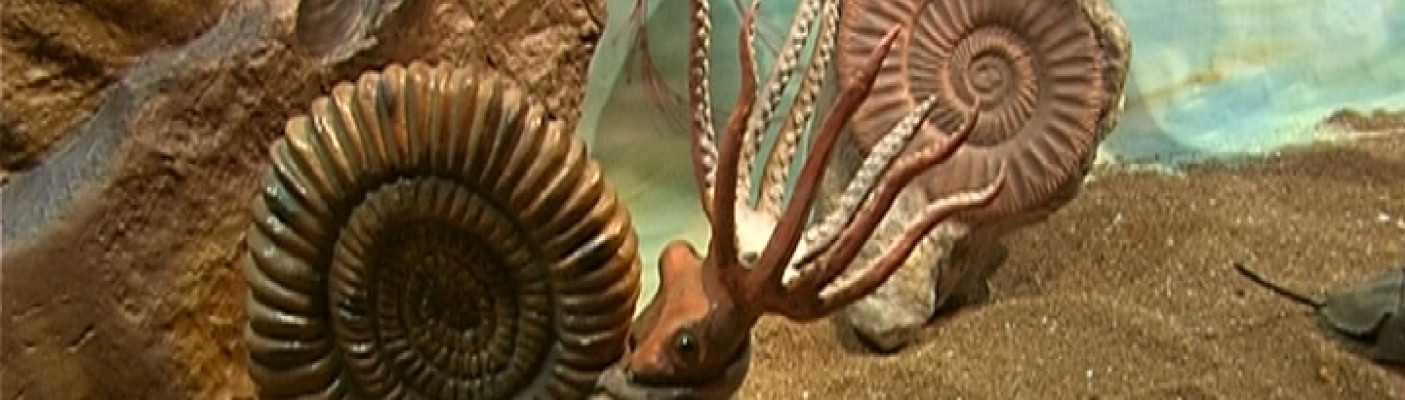 Ausstellung "Saurier & Co." | Bildquelle: RTF.1