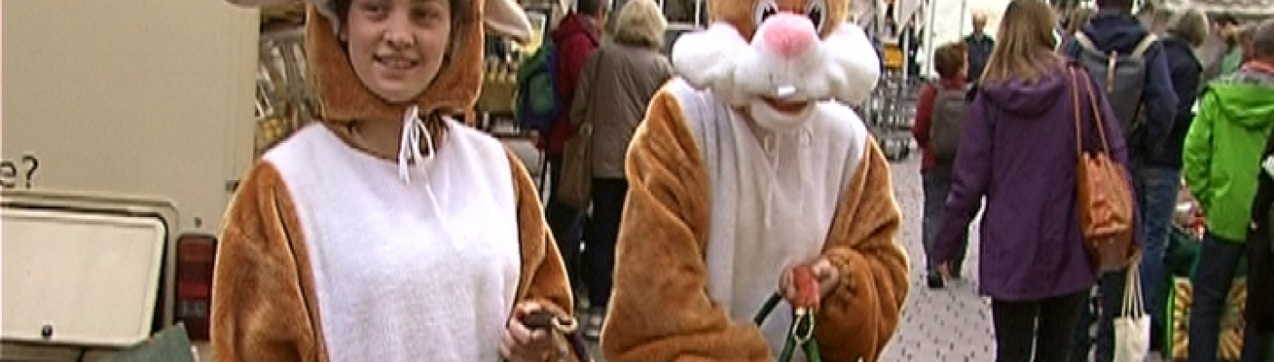 Osterhase auf dem Wochenmarkt | Bildquelle: RTF.1