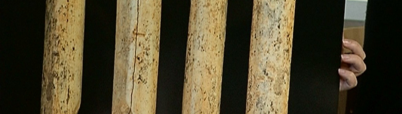 Fl&ouml;tenfragment entdeckt | Bildquelle: RTF.1