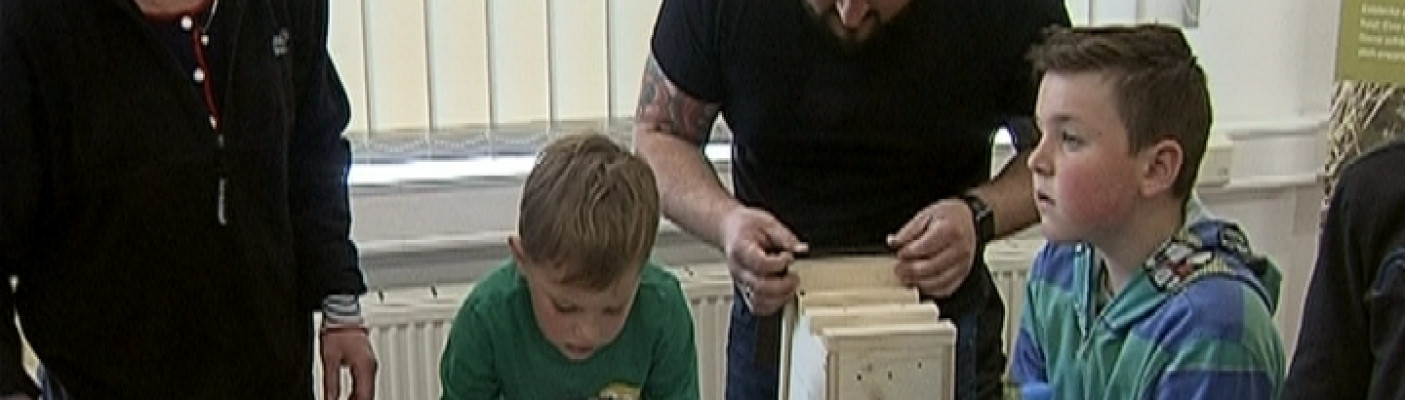 Nistk&auml;sten bauen | Bildquelle: RTF.1