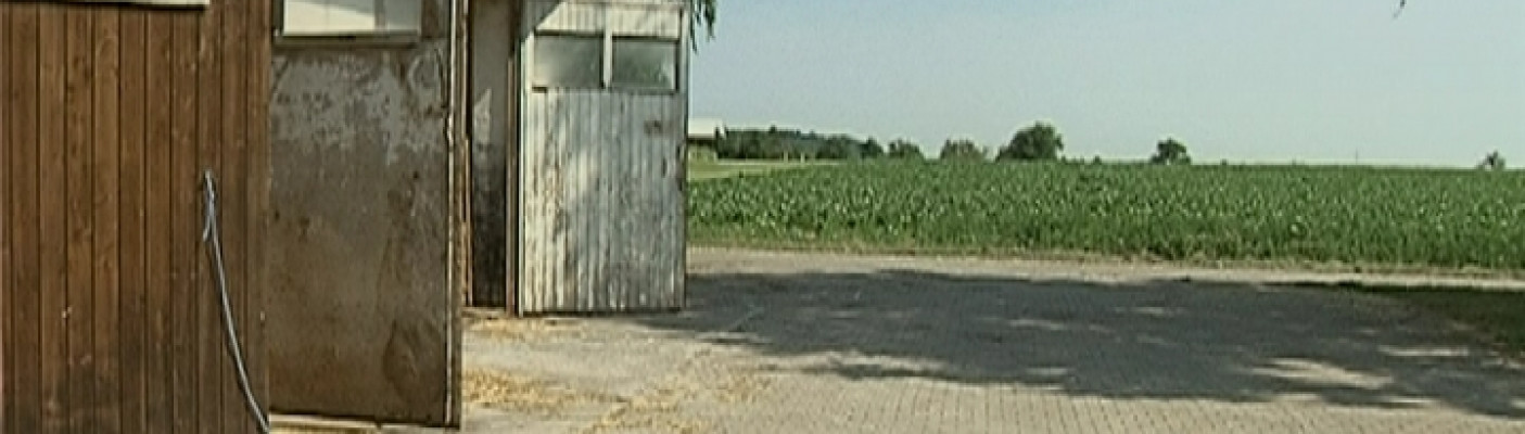 Sch&ouml;nblickhof Ergenzingen | Bildquelle: RTF.1