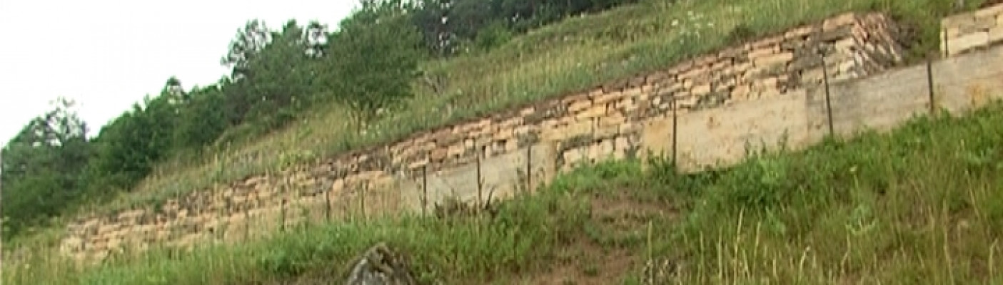 Trockenmauern | Bildquelle: RTF.1