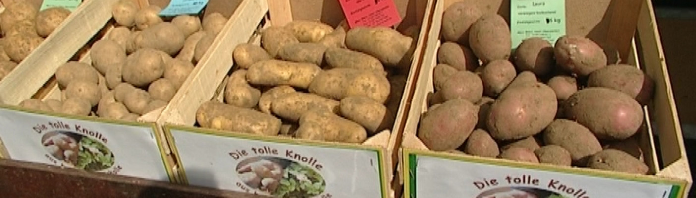 Kartoffeln | Bildquelle: RTF.1