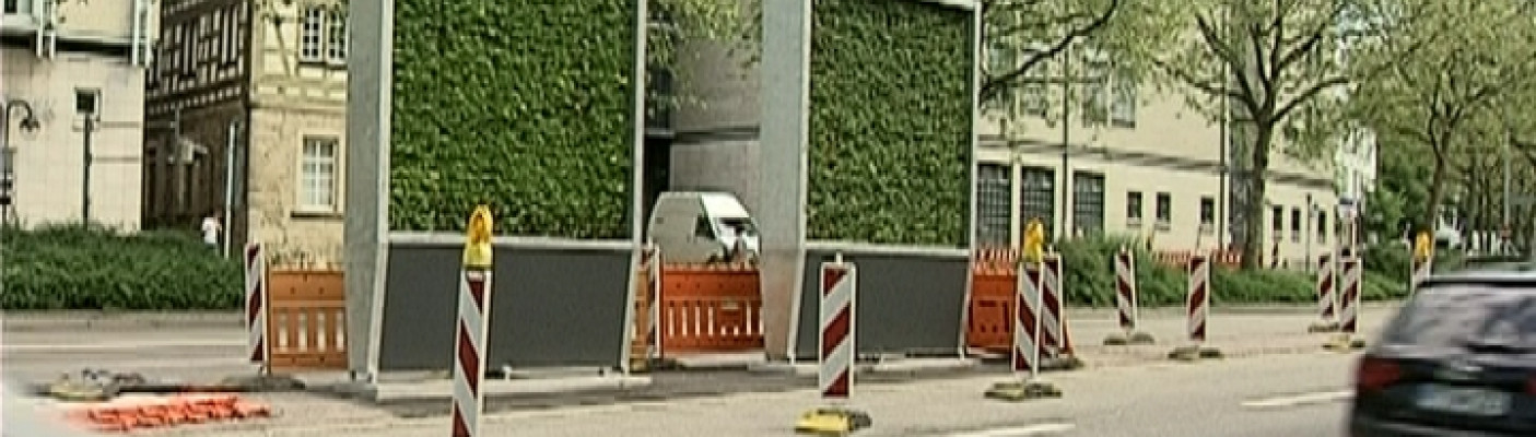 Mooswand | Bildquelle: RTF.1