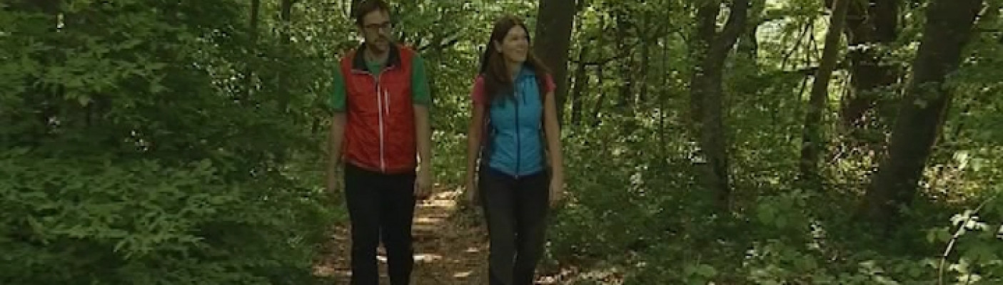 Wandern Biosphärengebiet Schwäbische Alb | Bildquelle: RTF.1