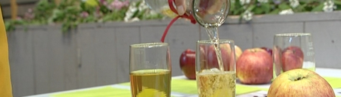 Mostmeisterschaft Nehren | Bildquelle: RTF.1