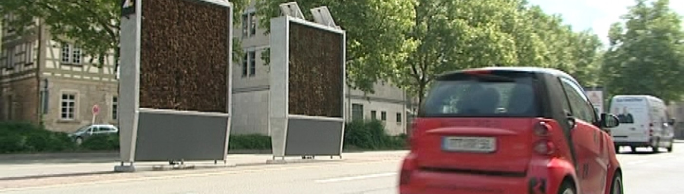 Mooswand in Reutlingen | Bildquelle: RTF.1