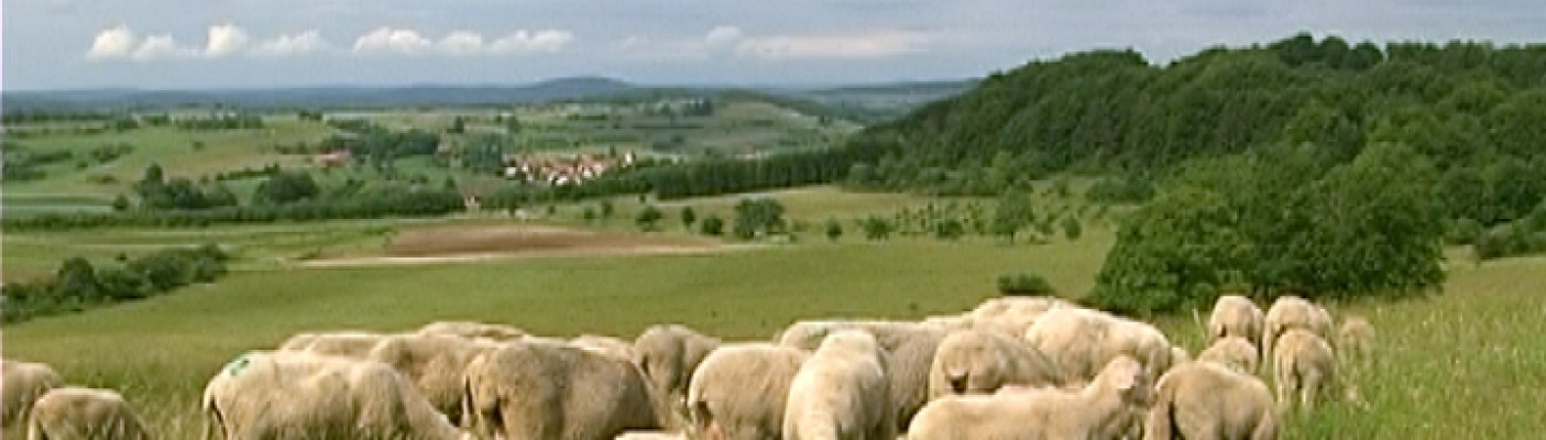 Truppen&uuml;bungsplatz M&uuml;nsingen | Bildquelle: RTF.1