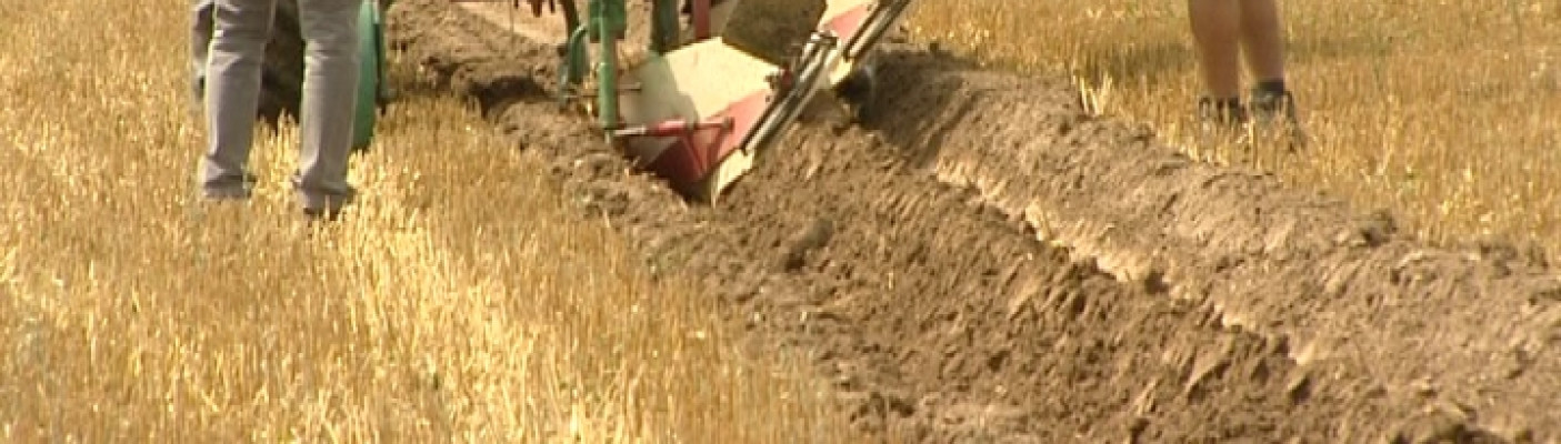 Pflug-WM Kirchentellinsfurt | Bildquelle: RTF.1
