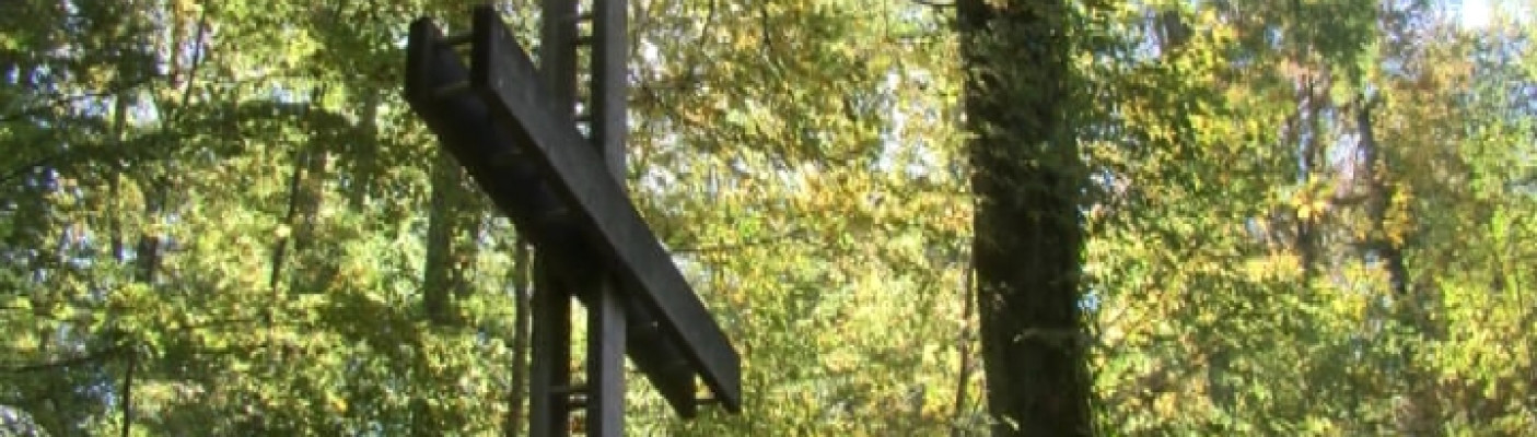 FriedWald M&uuml;nsingen | Bildquelle: RTF.1