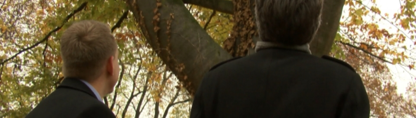 Blutbuche T&Uuml; | Bildquelle: RTF.1